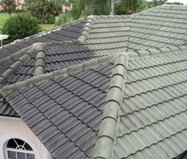 roof cleaning boca raton